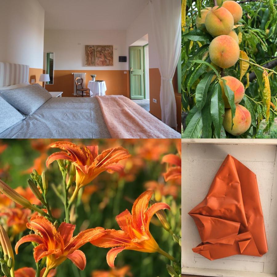Agriturismo Il Belvedere Palazzago Zewnętrze zdjęcie