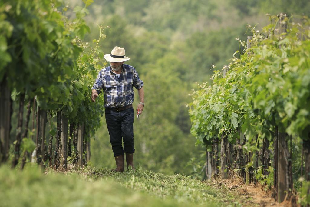 Agriturismo Il Belvedere Palazzago Zewnętrze zdjęcie